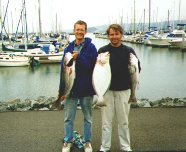 Stripers and halibut